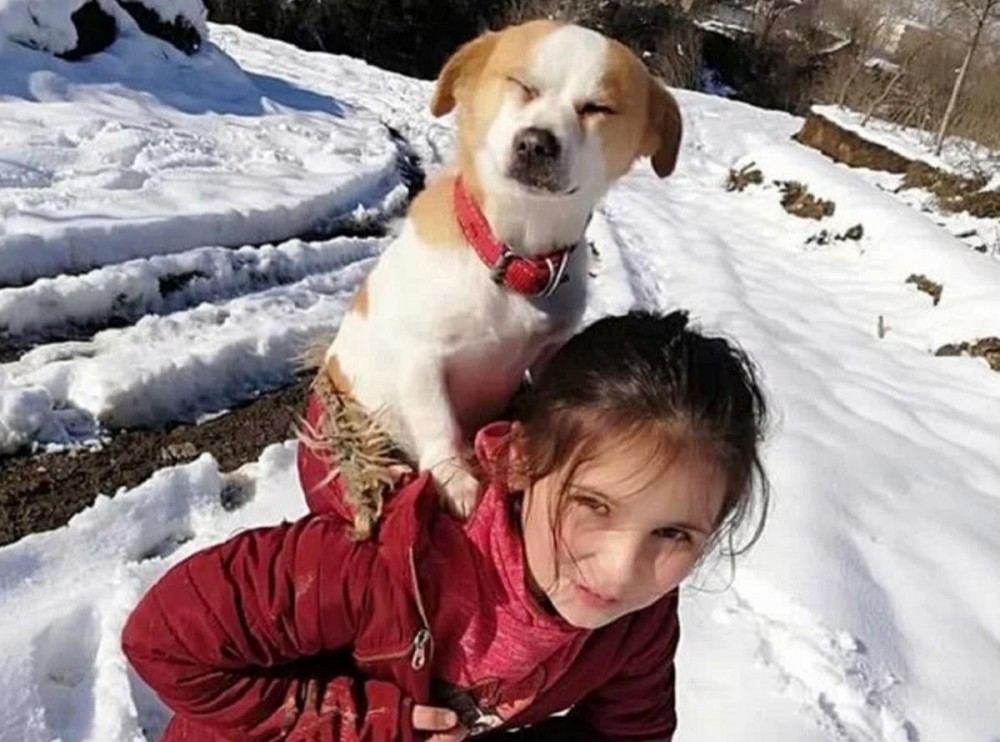 Îți dau lacrimile. O fetiță de nouă ani și-a dus câinele bolnav în spate doi kilometri, prin zăpadă, pentru a ajunge la veterinar